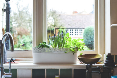 The Benefits of Indoor Gardening for Seniors