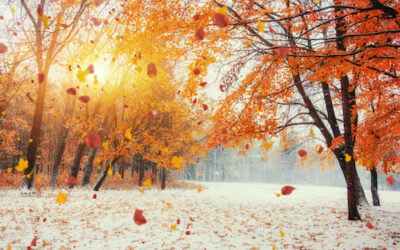 The Different Ways Seniors are Impacted By the Seasons Changing