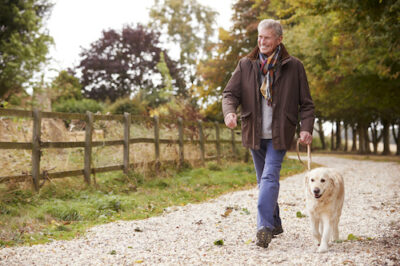 Dogs Aren’t the Only Ones Benefiting from Walks