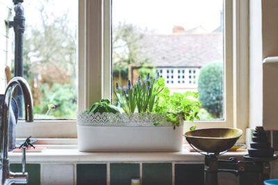 The Benefits of Indoor Gardening for Seniors