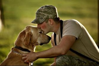 How A Service Dog Changes A Veteran’s Life