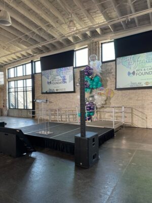 Taking the NextStep into Accessibility: Next Day Access Kansas City Sponsors Night to Stand