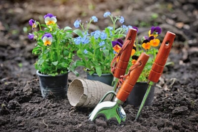 Gardening Benefits for Seniors
