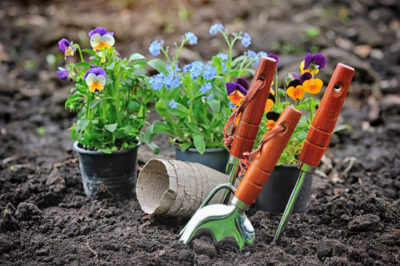 Gardening Benefits for Seniors