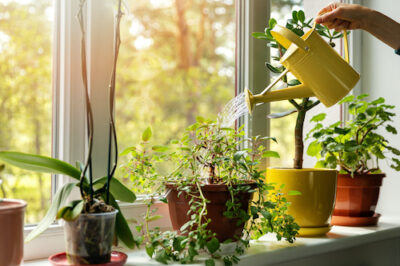 Health Benefits of Clean Indoor Air