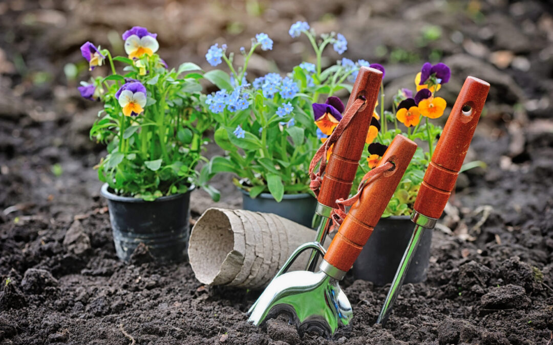 Gardening Benefits for Seniors