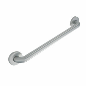 Stainless Steel Grab Bar