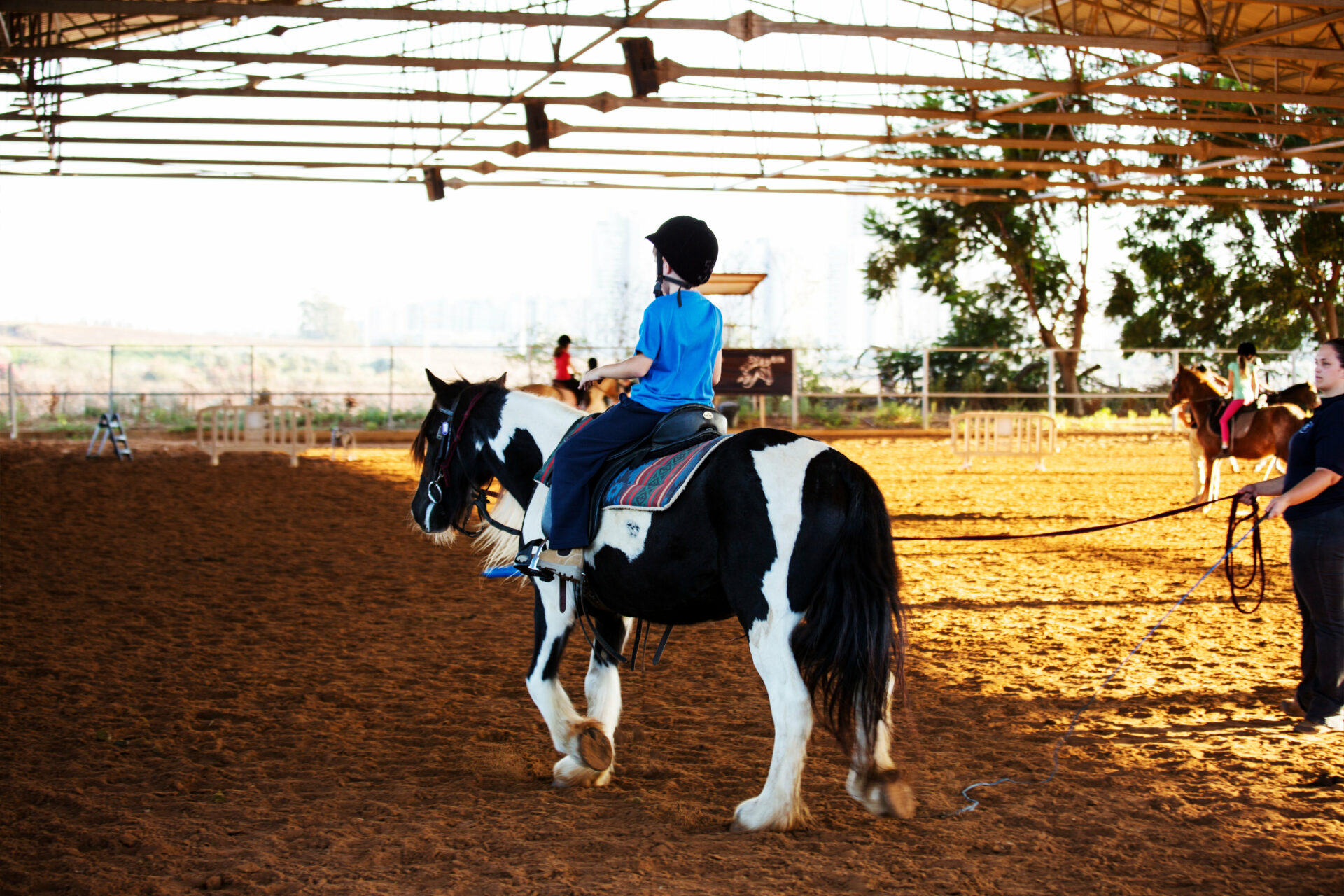 Horse Therapy for People with Disabilities