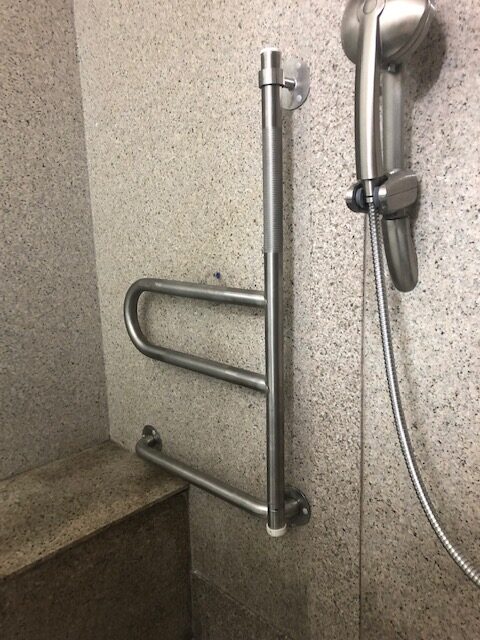 Flippable Silver Grab Bar by Shower Head