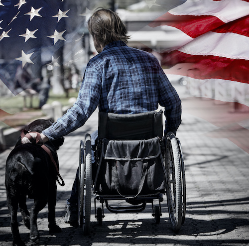 Which Grant and Assistance Funding Program Are Designed for Veterans?