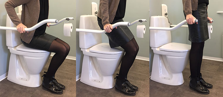 Toilet support arms steps