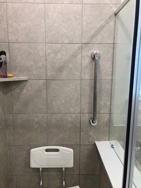 Vertical Silver Grab Bar in Shower